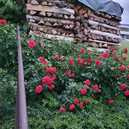 Dreamlandranch Vorarlberg Apartment Schlins Luaran gambar