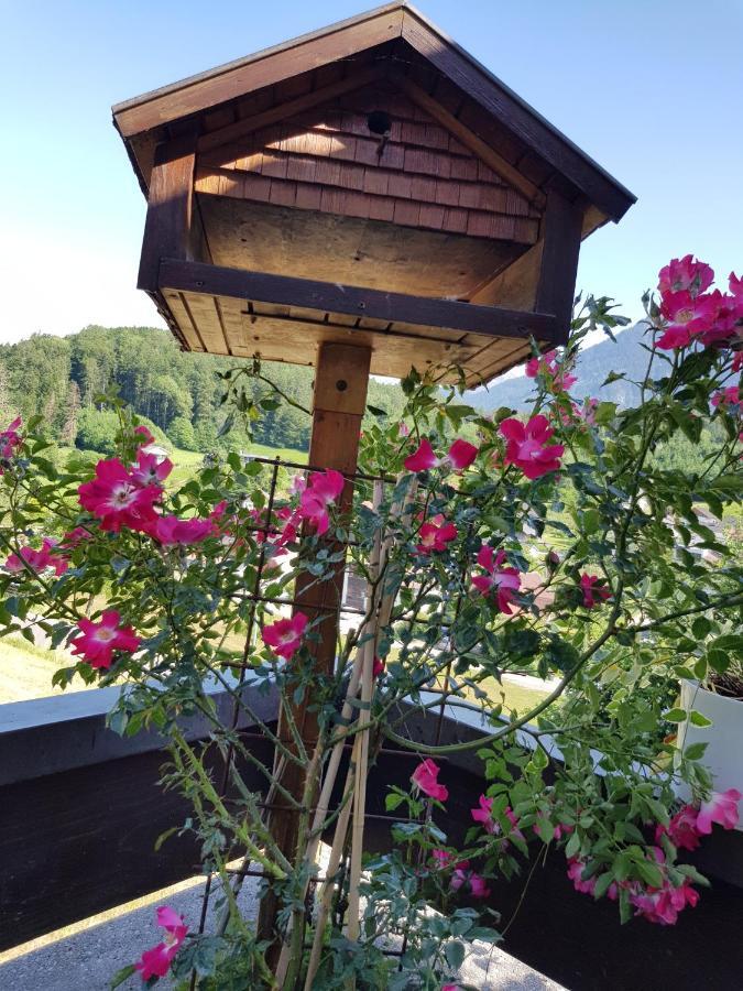 Dreamlandranch Vorarlberg Apartment Schlins Luaran gambar